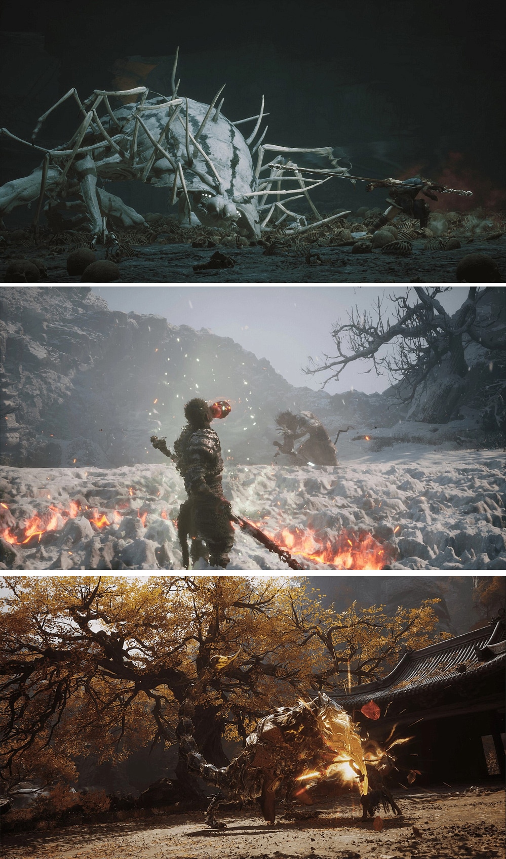 Black Myth: Wukong (PS5)