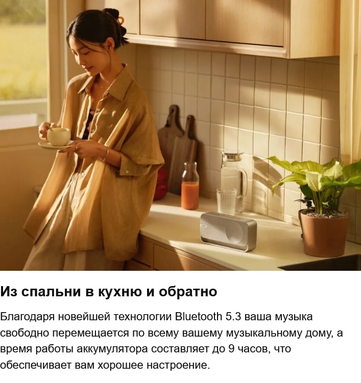 Bose SoundLink Home Cool Gray (Серый)